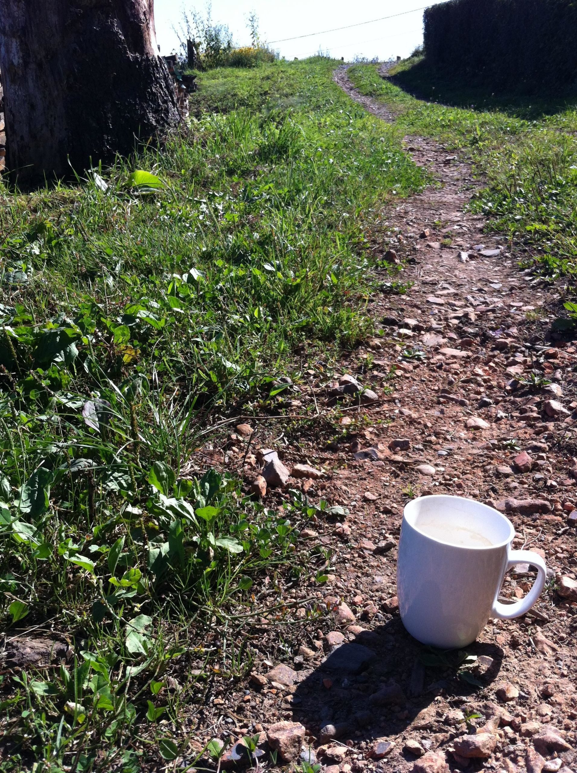 Coffee to go