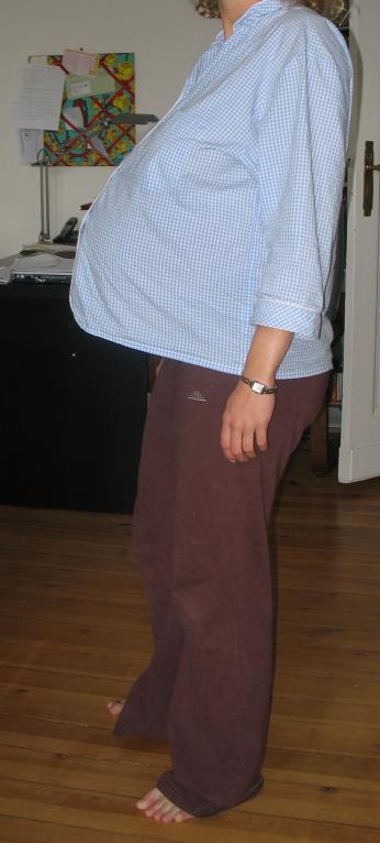 bauch1
