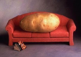 couch_potato_2047052