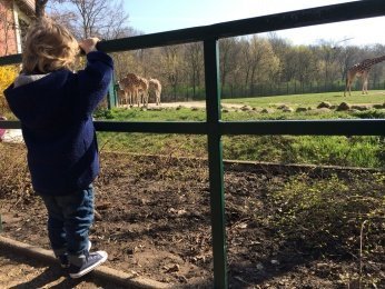 #DankeBaby Gedanken und Erkenntnisse aus meinem Leben als Zweifach-Mama