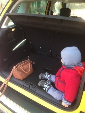 carli auto