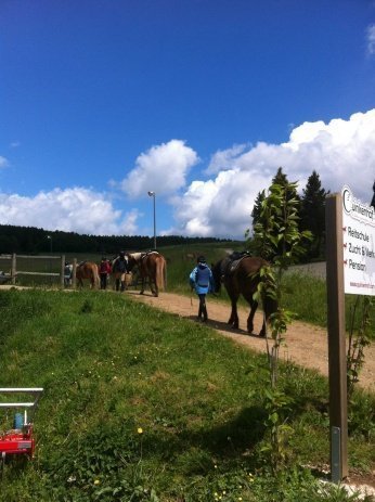 ponyhof1