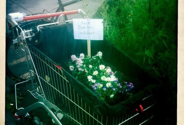 blumen 1