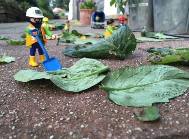 tomatenplaymobil