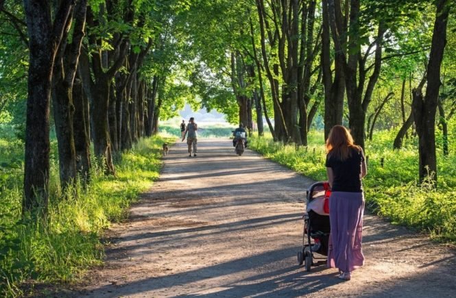 mutter allein kinderwagen