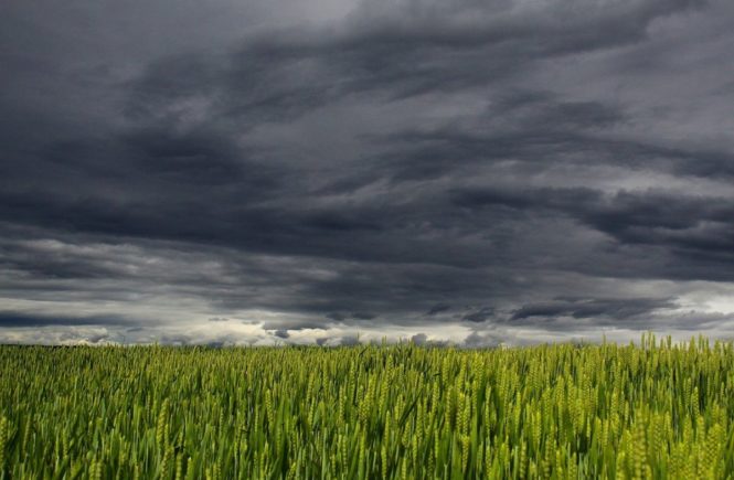 clouds 194840 1280