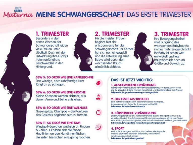 Rückblick auf die Zeit nach dem Schwangerschaftstest was für eine Aufregung! STADT LAND MAMA
