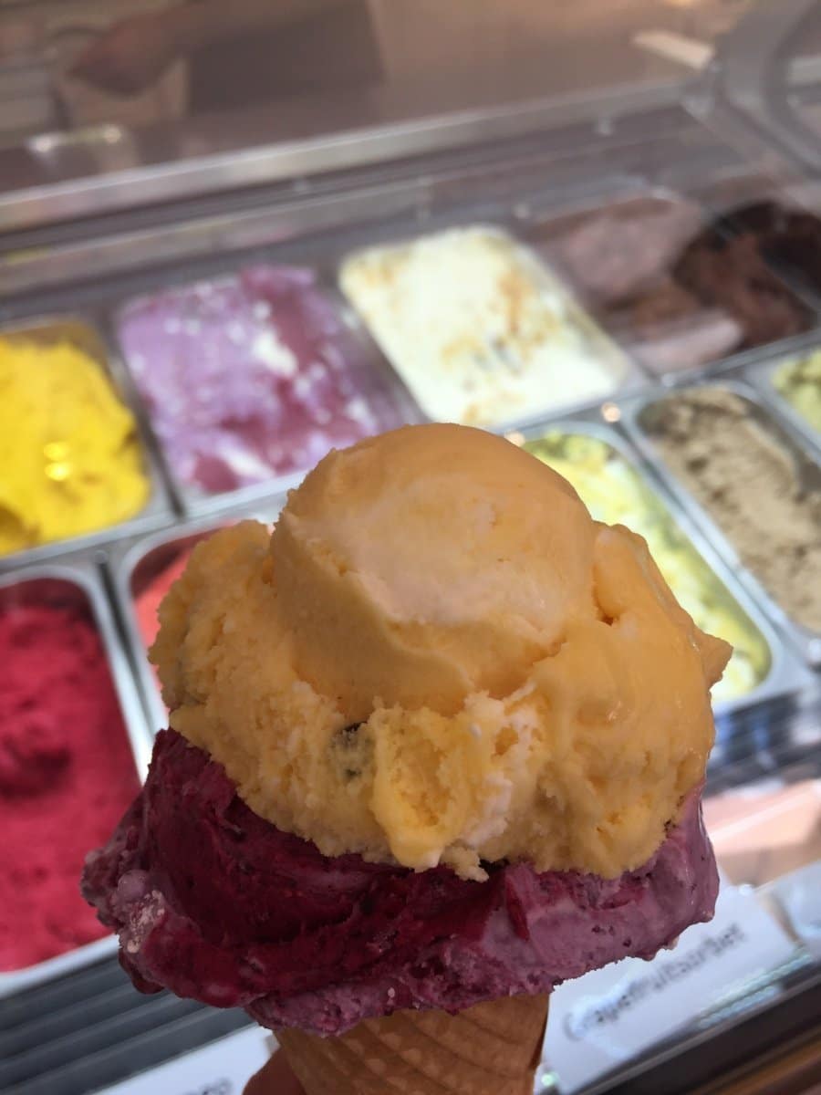 vienna eis