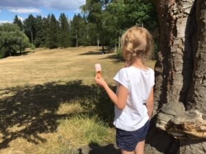 Willkommen in den Ferien: Es sind die kleinen Dinge, die den Sommer so wundervoll machen