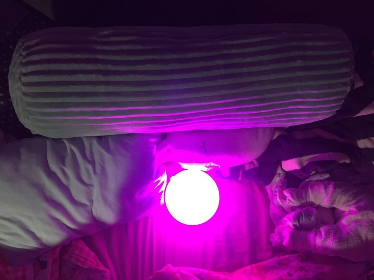 Smart Home Lampe: Endlich mal einer im Haus, der mir gehorcht