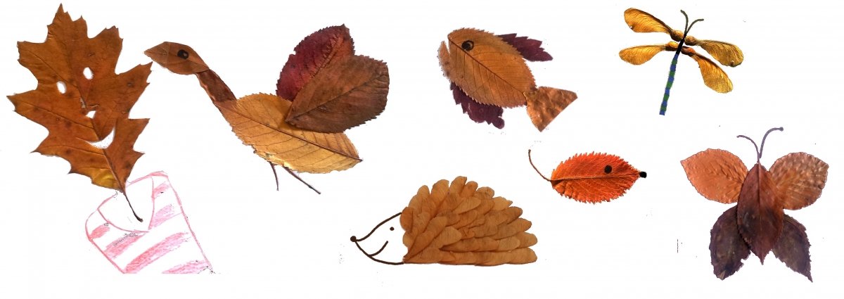 wald tiere herbstlaub