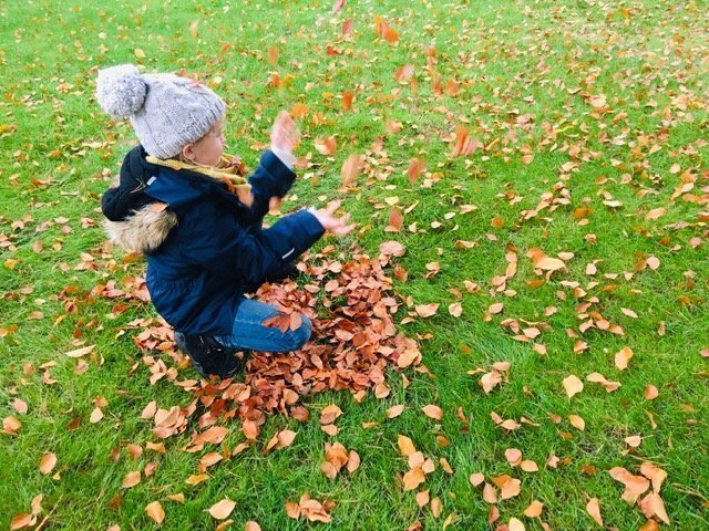 Fit durch den Herbst – Warum Omega 3 so wichtig für unsere Kids ist. Mit Gewinnspiel!