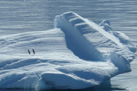 Klima-Wandel – wie erklärt Ihr Euren Kindern die düsteren Prognosen der Wissenschaft?