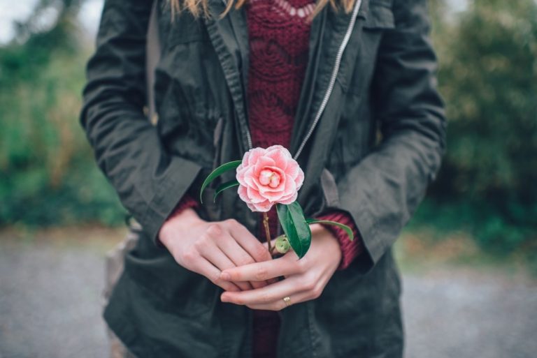 rose