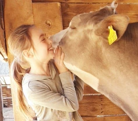 Meine Freundin, die Kuh – von einer ganz besonderen Tierliebe