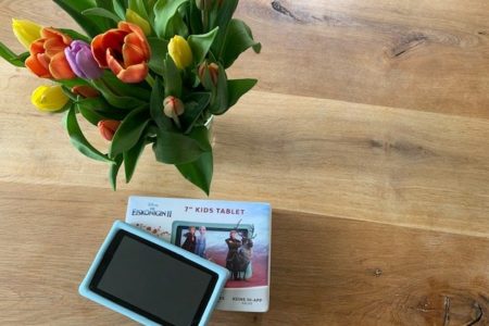 Spielen, lernen, lesen – wir verlosen ein tolles Kids-Tablet von Pebble Gear