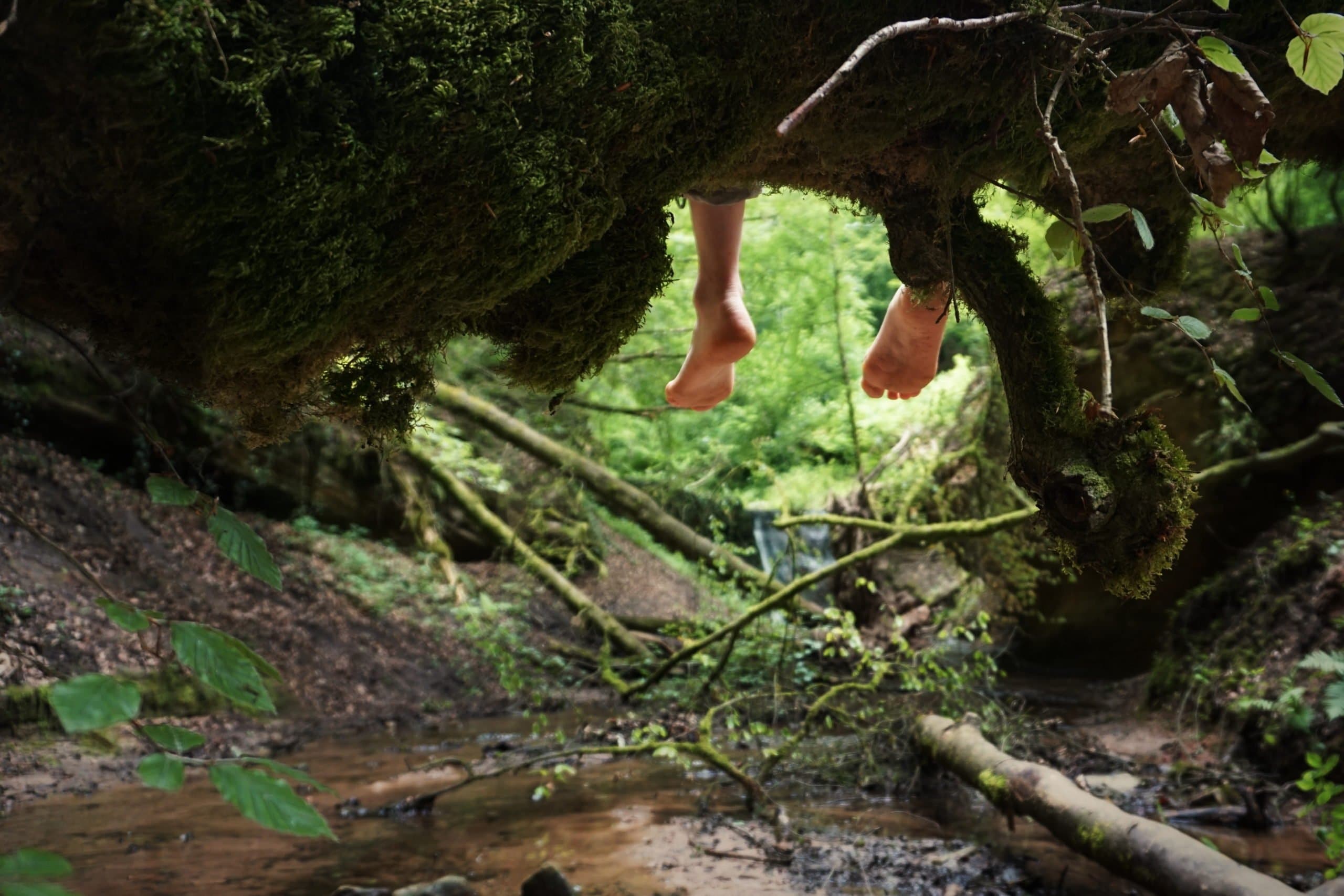 Ausgebüxt! Fünf Naturabenteuer, die ihr diesen Frühling nicht verpassen solltet