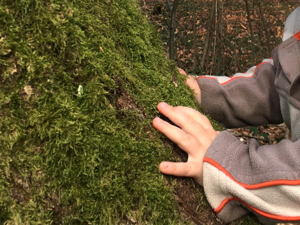 kinderhaende baumstamm moos fuehlen