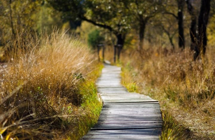 wooden track 1932611 1280