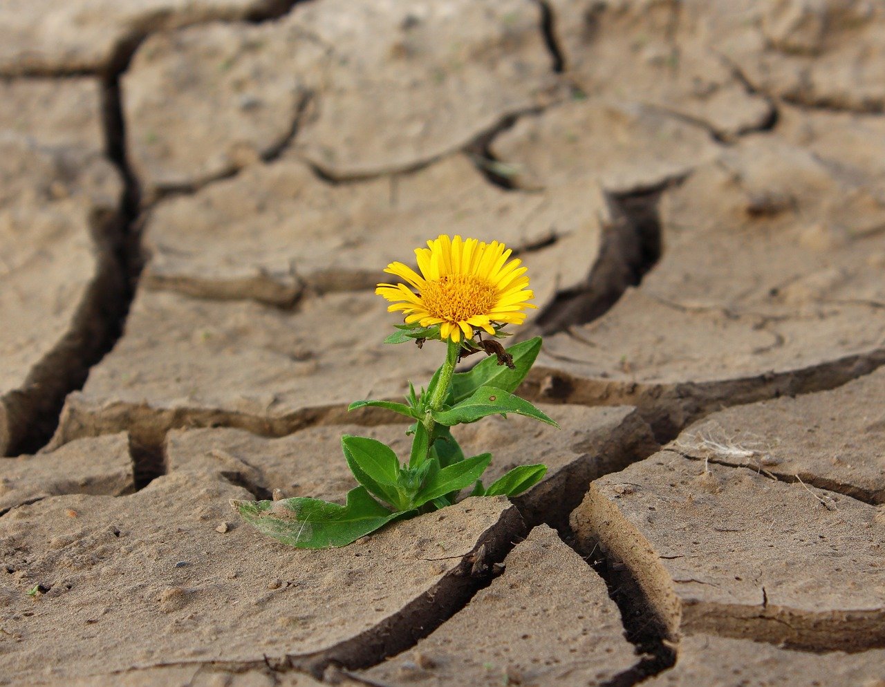 Ich will ein Kind, mein Mann ist depressiv: Wie geht es weiter?