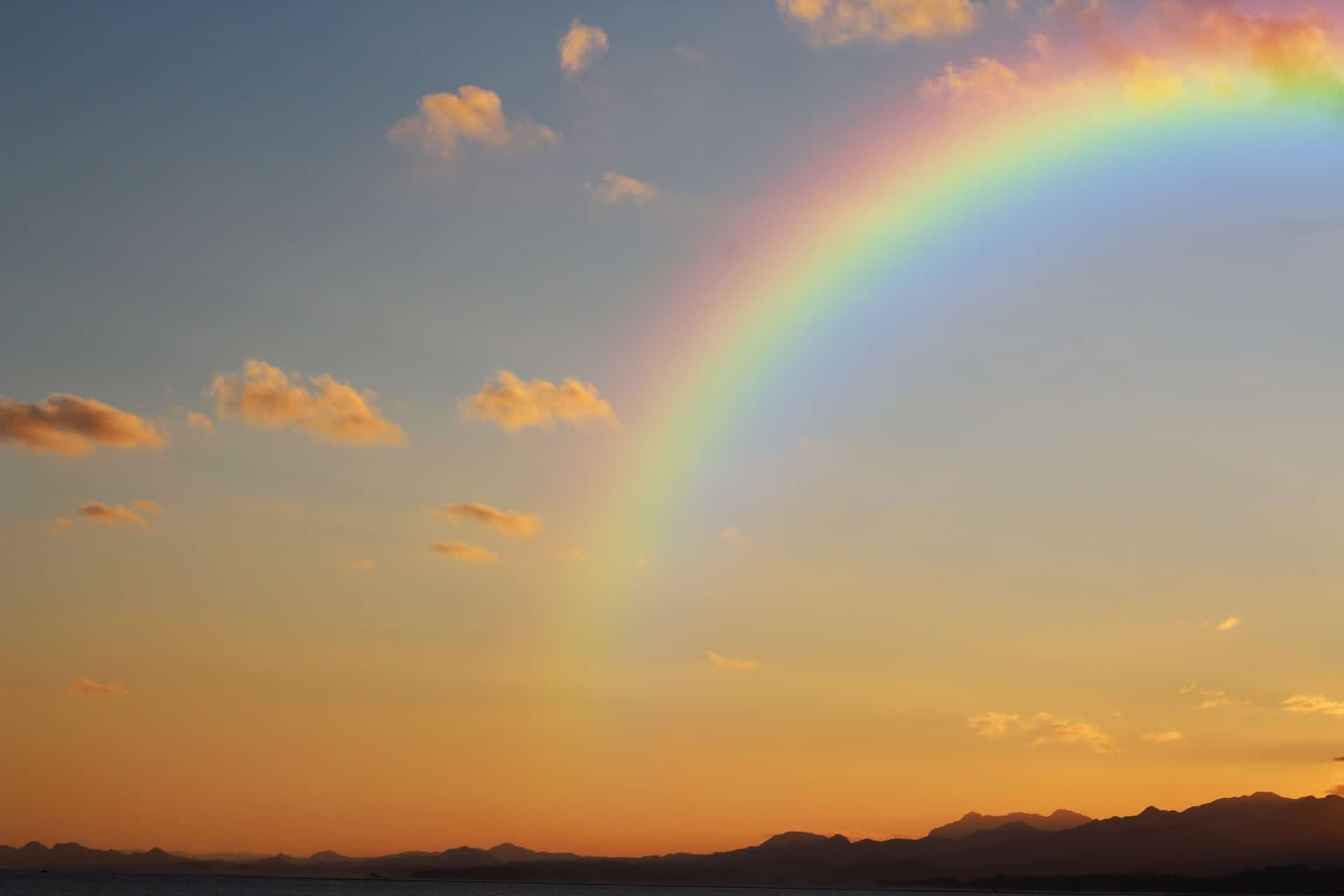 Ein Regenbogenbaby! Wie aus dem Schmerz neue Hoffnung entstehen kann