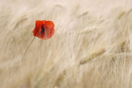 Rare Disease Day: Plötzlich hatten wir ein schwer chronisch krankes Kind