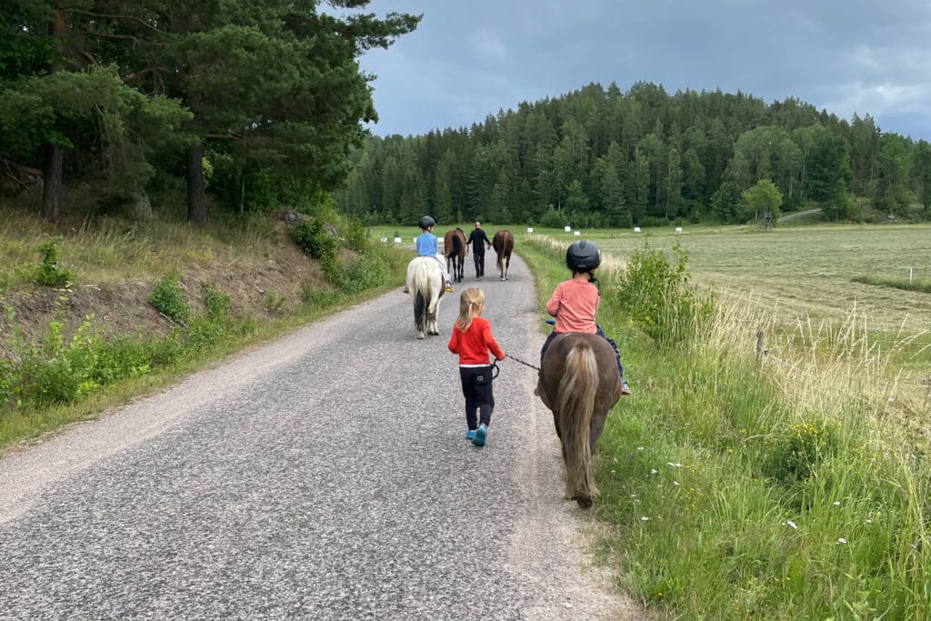 Auswandern nach Schweden