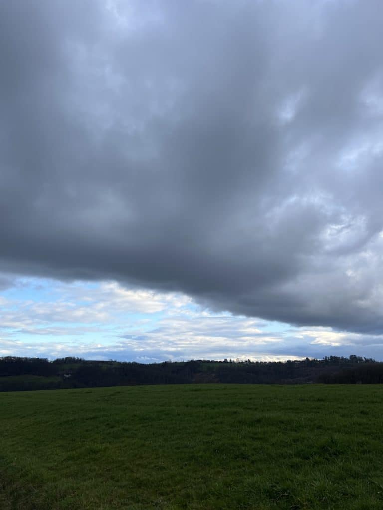 Schwangerschaftsabbruch