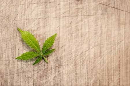 Legalisierung von Cannabis: Das halte ich als Ex-Kifferin davon