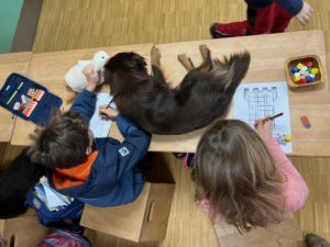 Assistenzhund: Eine Begleitung für meine Tochter mit PTBS
