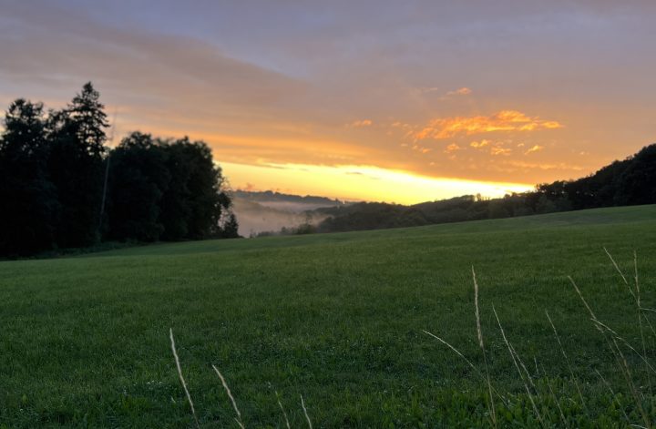 Ferienfreizeit und Buchgeburtstag