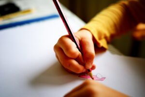 Bildung